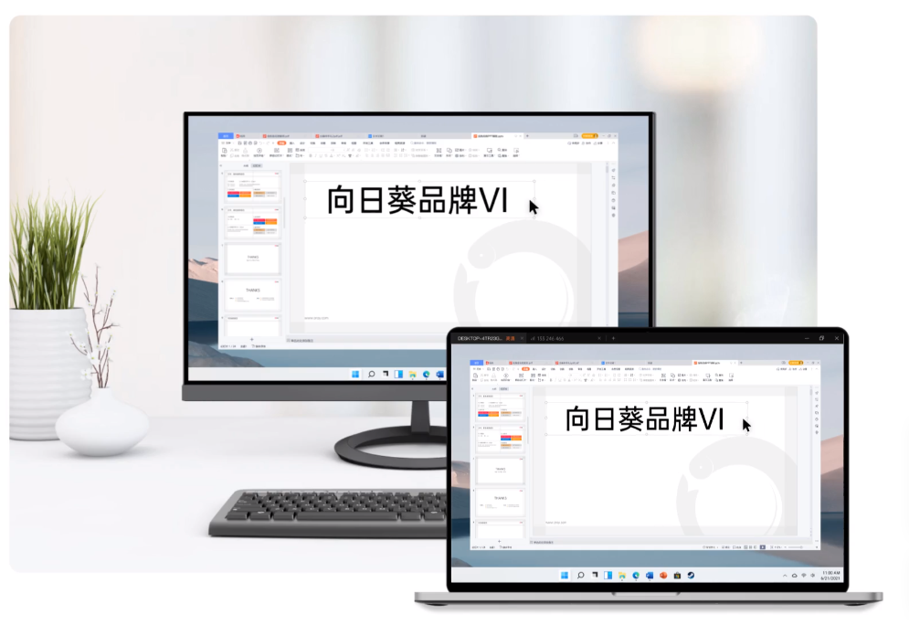 bestc註冊：曏日葵漏洞防護案例：軟件廠商如何保障安全